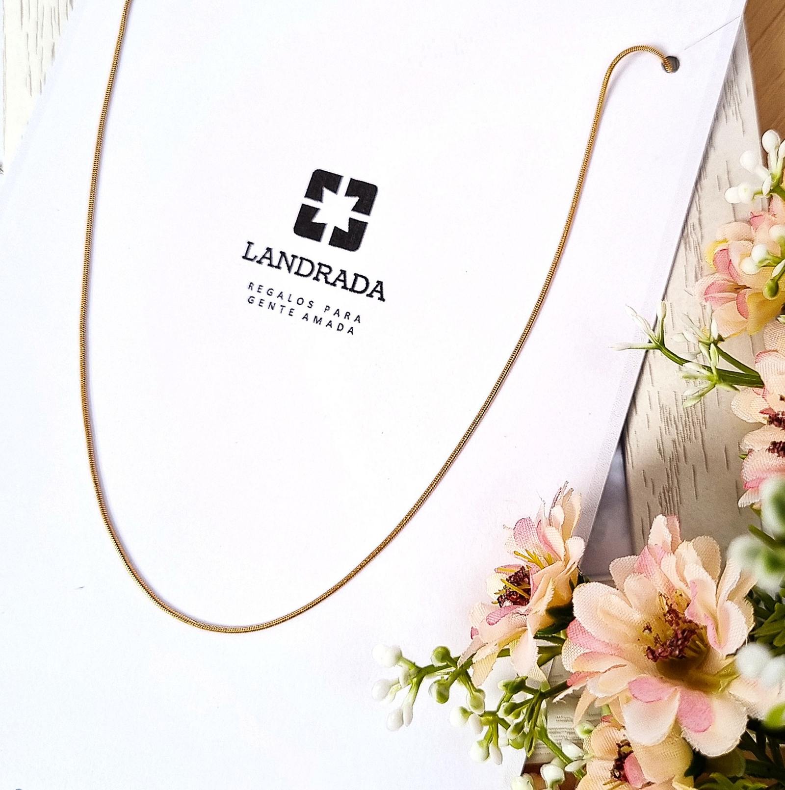 whatsapp image 2025 12 10 at 12.23.34 (23)