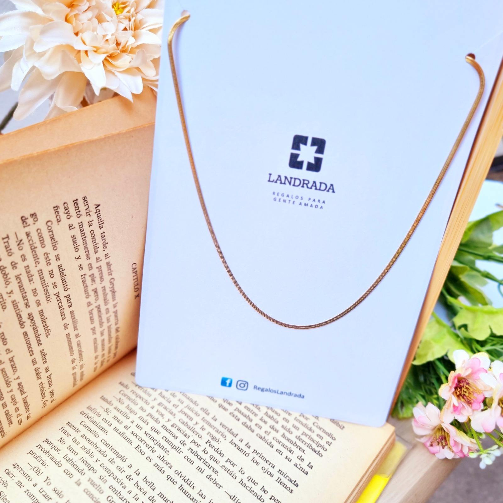 whatsapp image 2025 12 10 at 12.23.35 (5)