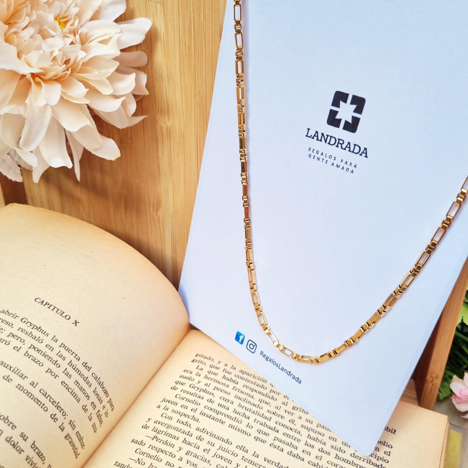 whatsapp image 2025 12 10 at 12.23.35